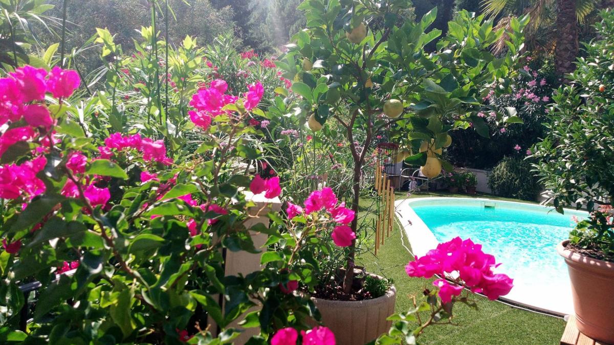 457226370 8260620180650283 6008077860007445946 n